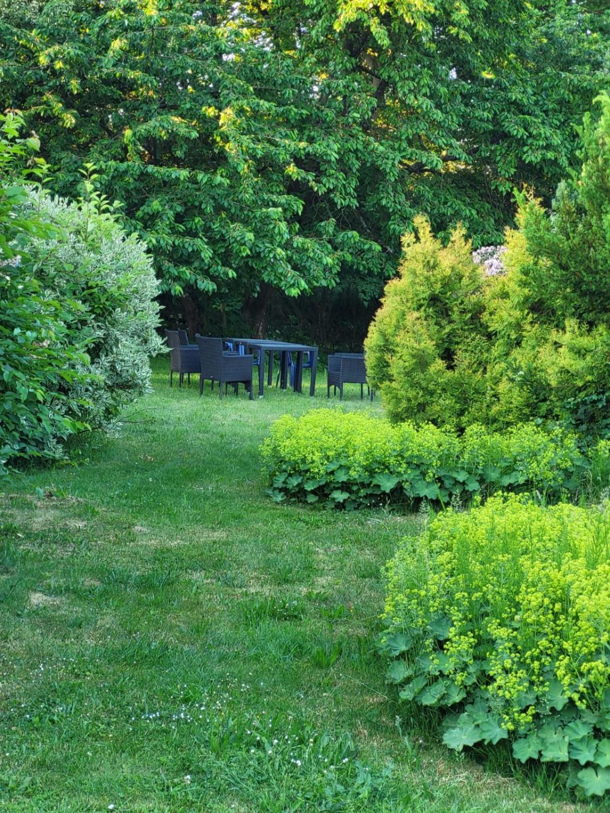 D&B Staycation Ferienpark Niedenstein Dış mekan fotoğraf