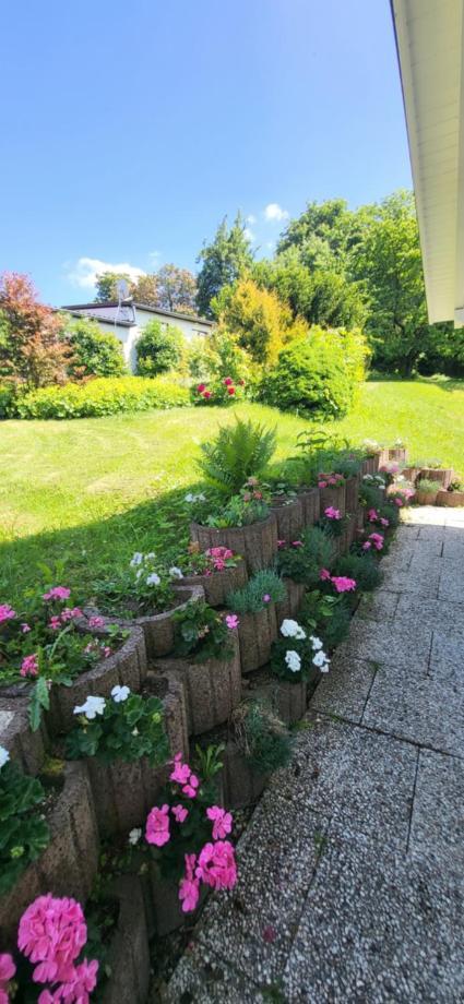 D&B Staycation Ferienpark Niedenstein Dış mekan fotoğraf